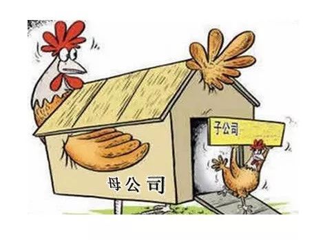 一张图讲懂母公司和子公司,总公司和分公司的区别!